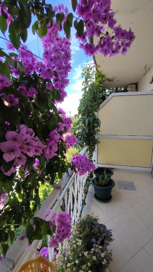 Jadranka * Makarska
